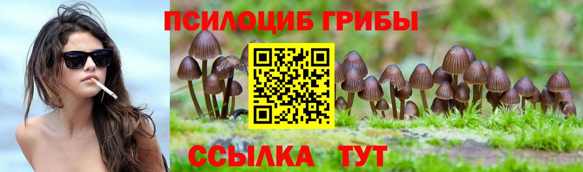 Псилоцибиновые грибы Psilocybe  Вход с VPN  Свободный 